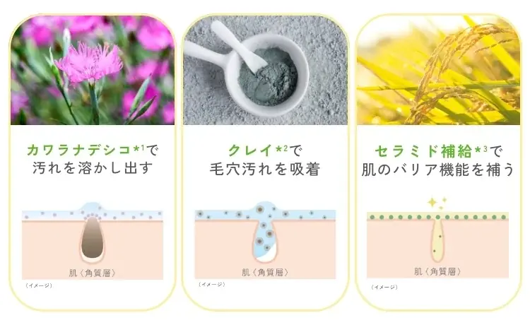 【chant a charm（チャントアチャーム）】から、ブランド人気NO.1*¹のクレンジングに心をときほぐす「ゆずの香り」登場。「クレンジングミルク ゆず」を2025年10月24日より数量限定発売 画像 4