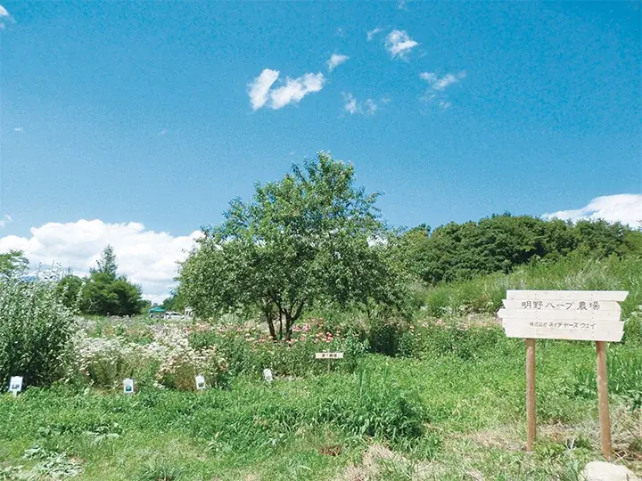 【chant a charm（チャントアチャーム）】から、ブランド人気NO.1*¹のクレンジングに心をときほぐす「ゆずの香り」登場。「クレンジングミルク ゆず」を2025年10月24日より数量限定発売 画像 8