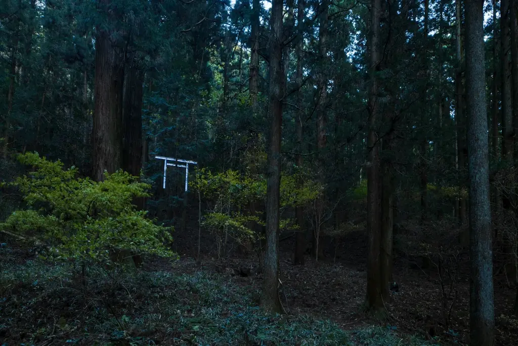 大阪・関西万博会場に​浮かぶ、​光る​鳥居の​正体は。​人と​宇宙の​調和を​表現した​水上の​空間彫刻作品群が​10月12日まで​展示中 画像 8