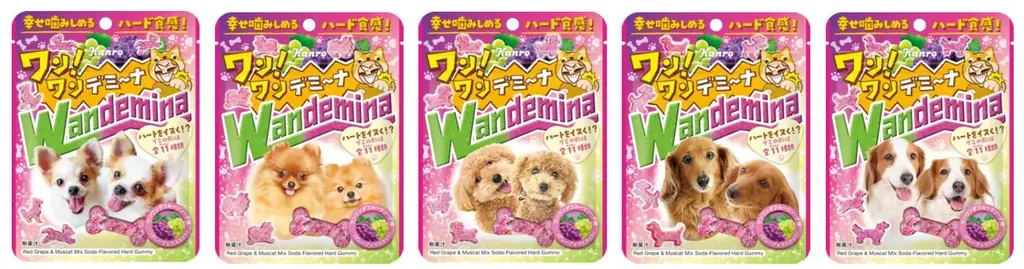 11月1日は「犬の日」！ハートを“イヌく”「ワンワンダフルーツソーダ味」のハードグミ　カンロ 「ワンワンデミーナグミ」 を発売 画像 3