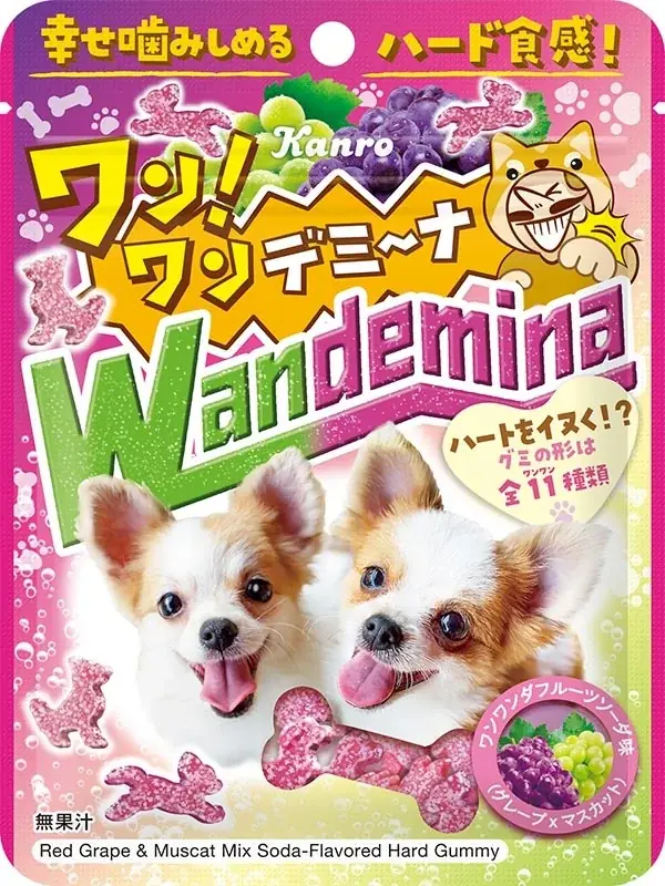 11月1日は「犬の日」！ハートを“イヌく”「ワンワンダフルーツソーダ味」のハードグミ　カンロ 「ワンワンデミーナグミ」 を発売 画像 4