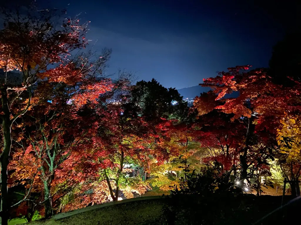 「大阪・関西万博」未使用チケットで5,000円OFF！秋の自然を満喫する温泉つきグランピングキャンペーンを開催【ウッドデザインパーク与位】 画像 3