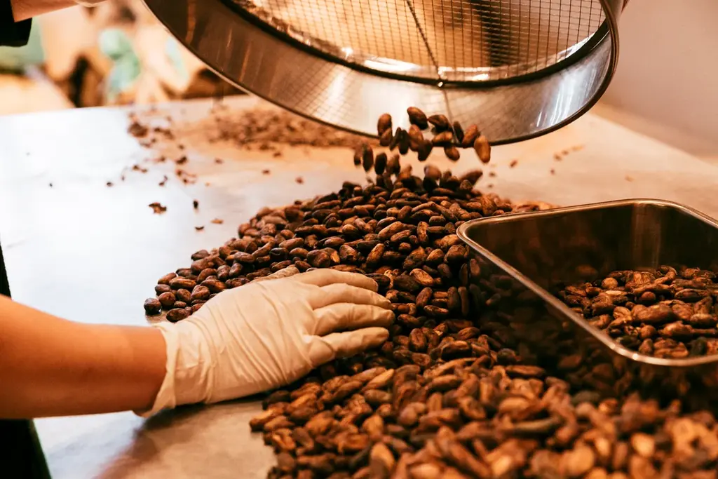 memento mori × ダンデライオン・チョコレート × 越後薬草が手がける限定『カカオジン Limited edition 2025』新登場！ 画像 3