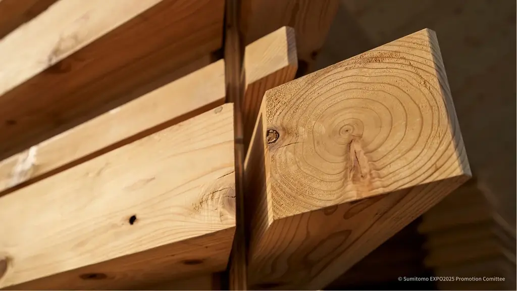 さぁ、森からはじまる未来へ　大阪・関西万博「住友館」閉館のご報告と御礼　未来へつなぐ住友館のレガシー施策について 画像 3