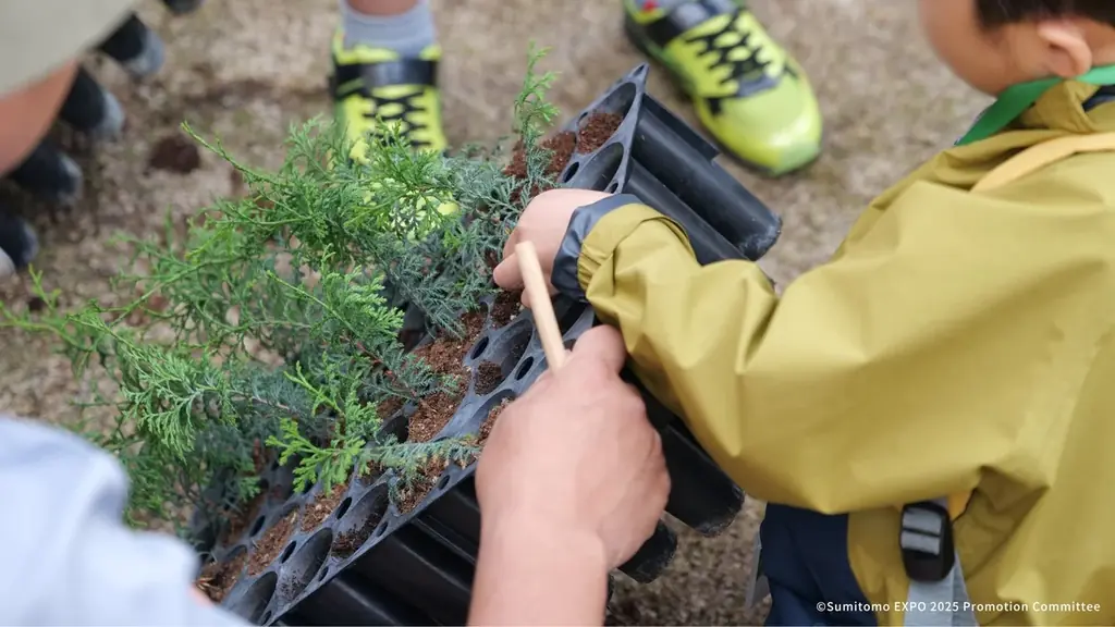 さぁ、森からはじまる未来へ　大阪・関西万博「住友館」閉館のご報告と御礼　未来へつなぐ住友館のレガシー施策について 画像 8