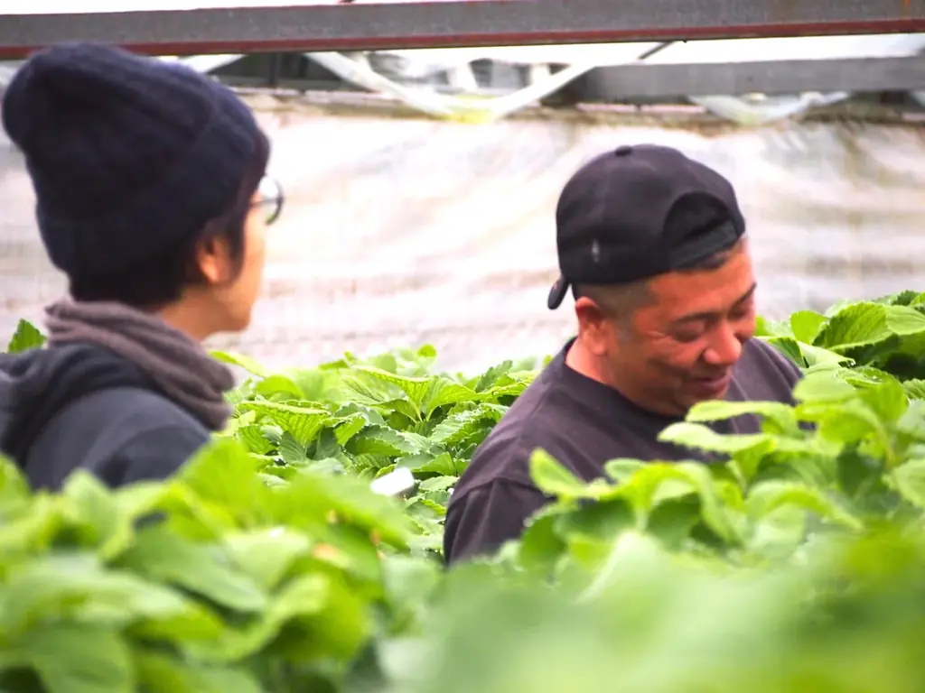 風景に恋をした小さな菓子工房〈カゴノオト〉が生み出す、“1年を誇りに思えるシュトーレン”――誰もやらない1年仕込みで売上前年比186%を達成‼ 画像 7