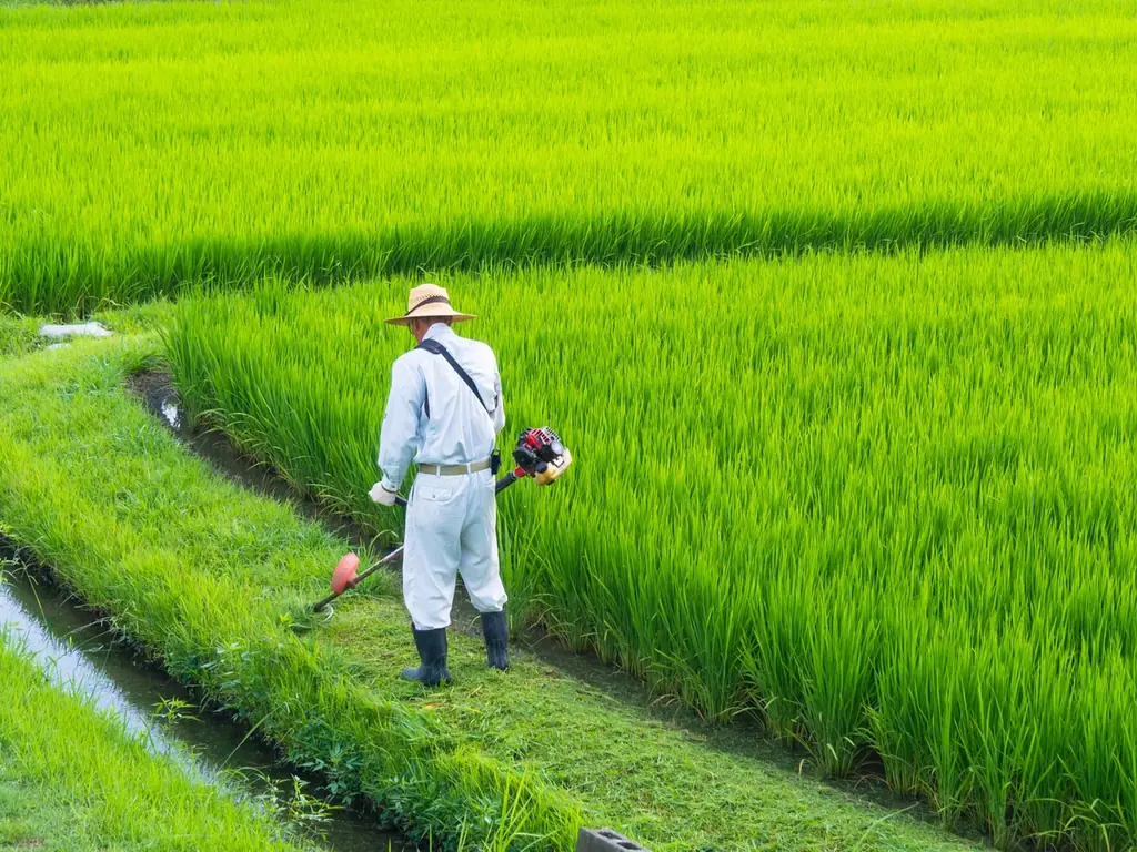 風景に恋をした小さな菓子工房〈カゴノオト〉が生み出す、“1年を誇りに思えるシュトーレン”――誰もやらない1年仕込みで売上前年比186%を達成‼ 画像 8