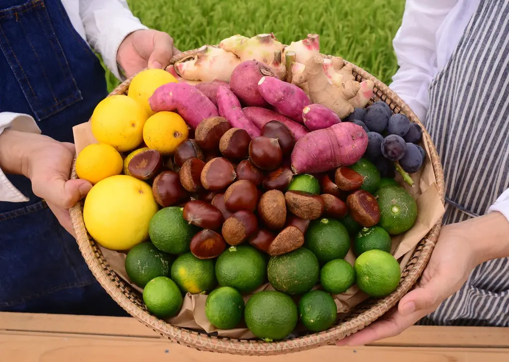 風景に恋をした小さな菓子工房〈カゴノオト〉が生み出す、“1年を誇りに思えるシュトーレン”――誰もやらない1年仕込みで売上前年比186%を達成‼ 画像 9