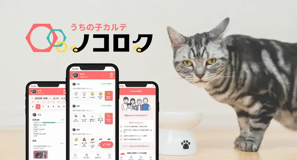 ノコロクβ版公開