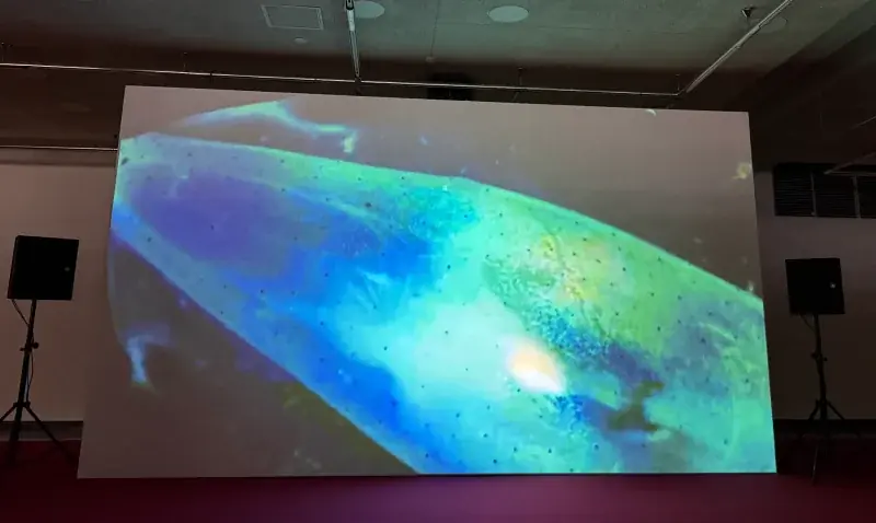 【岡山大学】研究材料が芸術作品に!?「岡山芸術交流2025」に岡山大学理学部・工学部が協力 画像 2