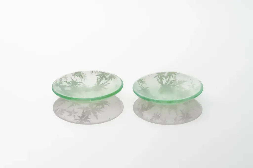 【フランス発】世界のガストロノミーを彩るガラスブランド「ILAKÉ（イラケ）」初来日記念・特別頒布会—南仏アルプスの大自然を一皿に映す、二人の女性クリエイターの芸術。 画像 14