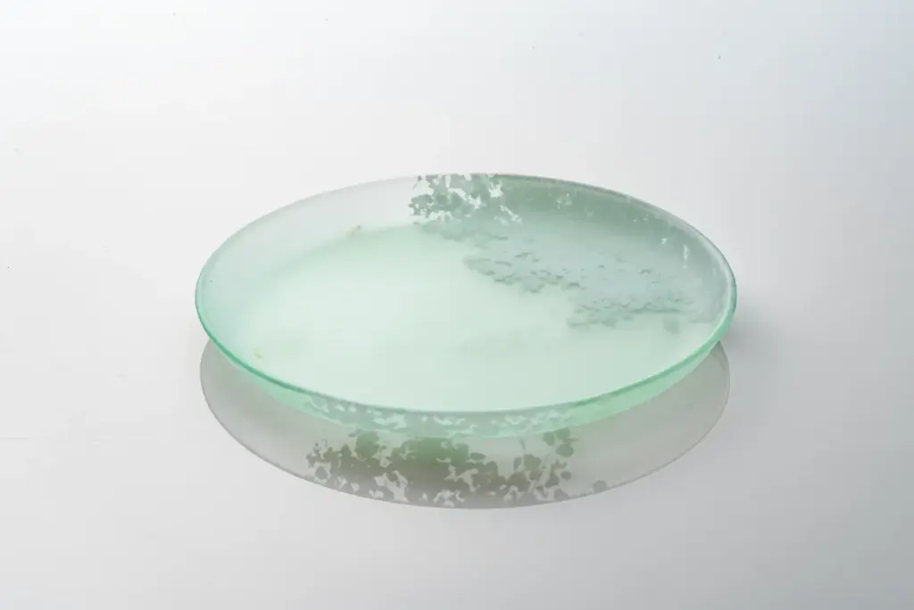 【フランス発】世界のガストロノミーを彩るガラスブランド「ILAKÉ（イラケ）」初来日記念・特別頒布会—南仏アルプスの大自然を一皿に映す、二人の女性クリエイターの芸術。 画像 15