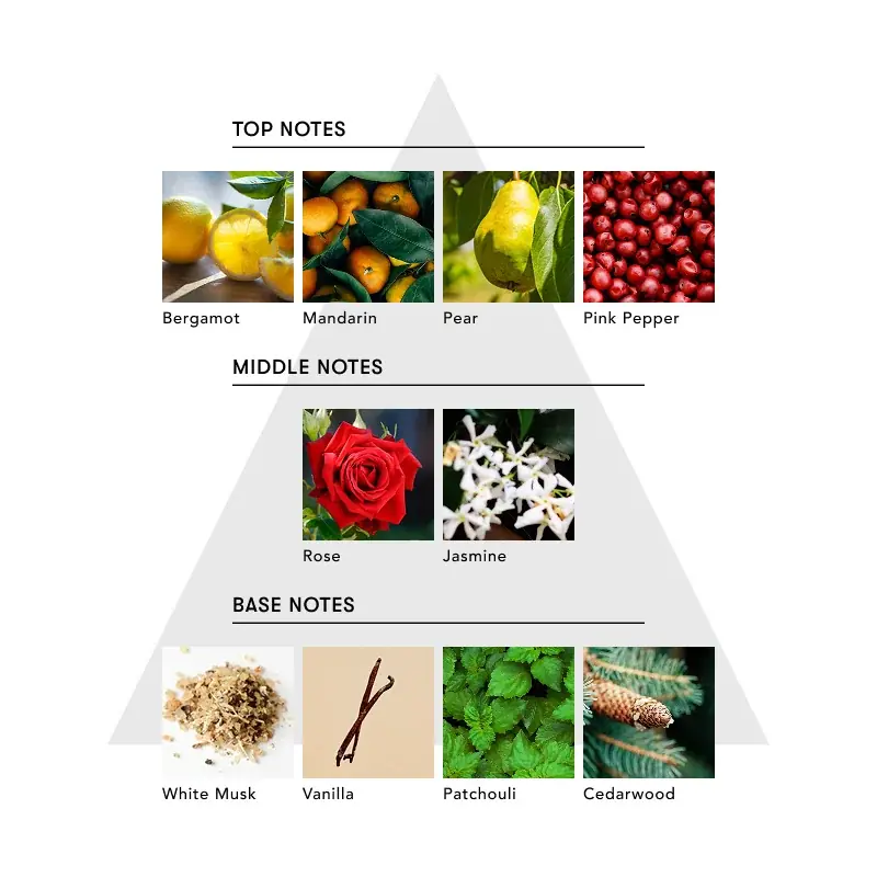 【悟空のきもち×SINN PURETÉ】コラボ第2弾！共同開発の香りのお香が登場。10/14(火)より先行発売開始！眠りの前の儀式に、深いリラックスムードへと誘います。 画像 4