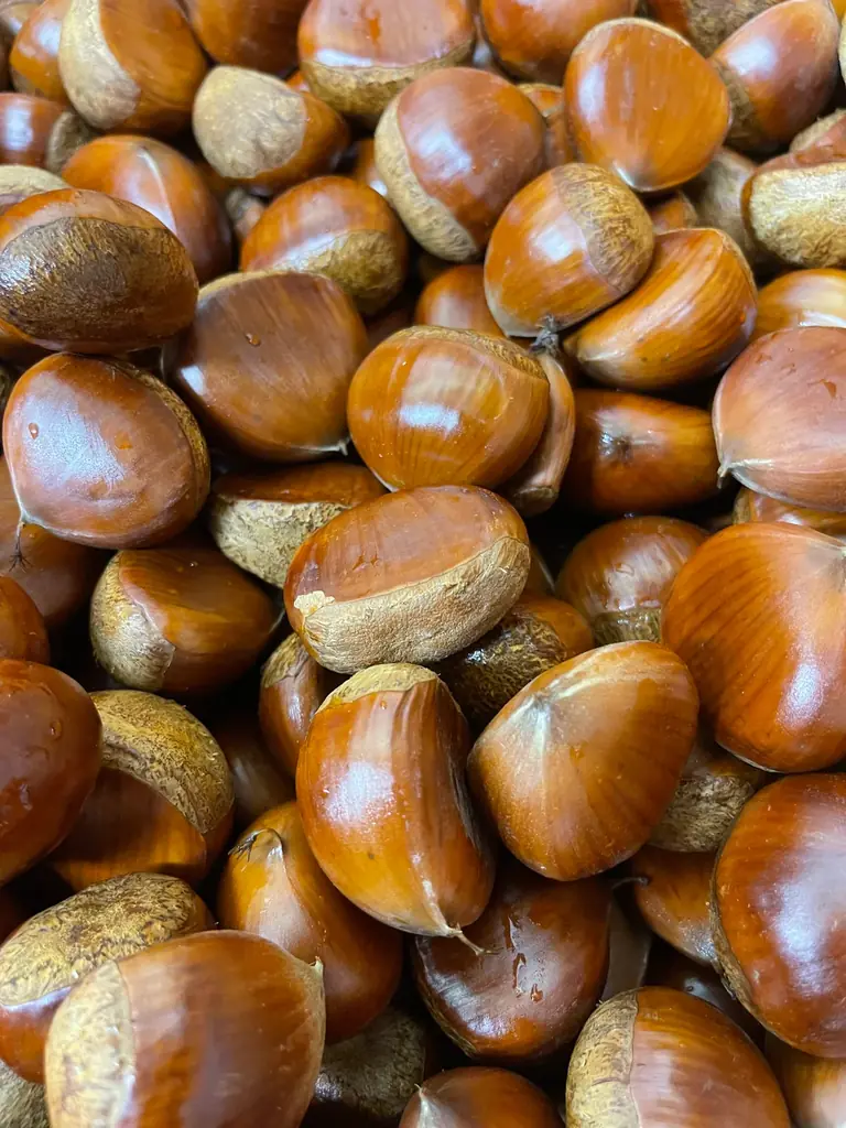 先着プレゼントあり！体験×秋のグルメ×豪華特典がそろうイソザキ大創業祭2025 画像 8