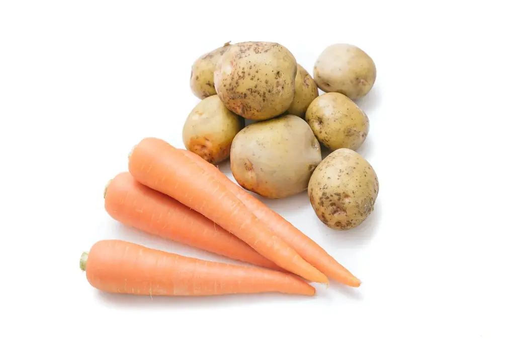 先着プレゼントあり！体験×秋のグルメ×豪華特典がそろうイソザキ大創業祭2025 画像 9