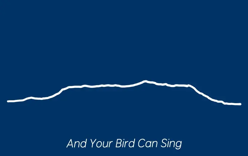 三宅唱監督『きみの鳥はうたえる』をモチーフにしたオフィシャルオリジナルグッズが登場！ 画像 2