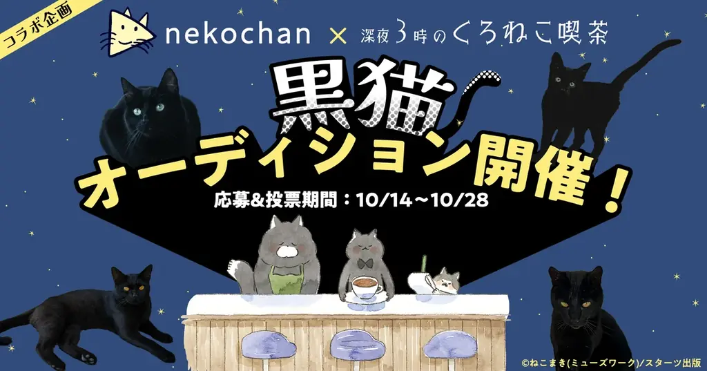 黒猫オーディション