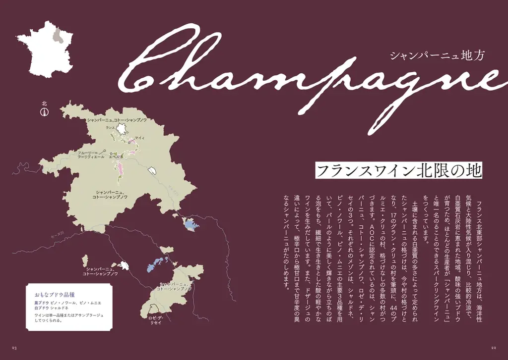 『「マキコレ」ではじめる 一生つきあえるワインはどこにある？』10/14発売！ フランス醸造責任資格をもつインポーターと探す「本当においしい」理由 画像 2