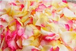 自社バラ園のバラから抽出した飲む美容液 新発売 画像 3