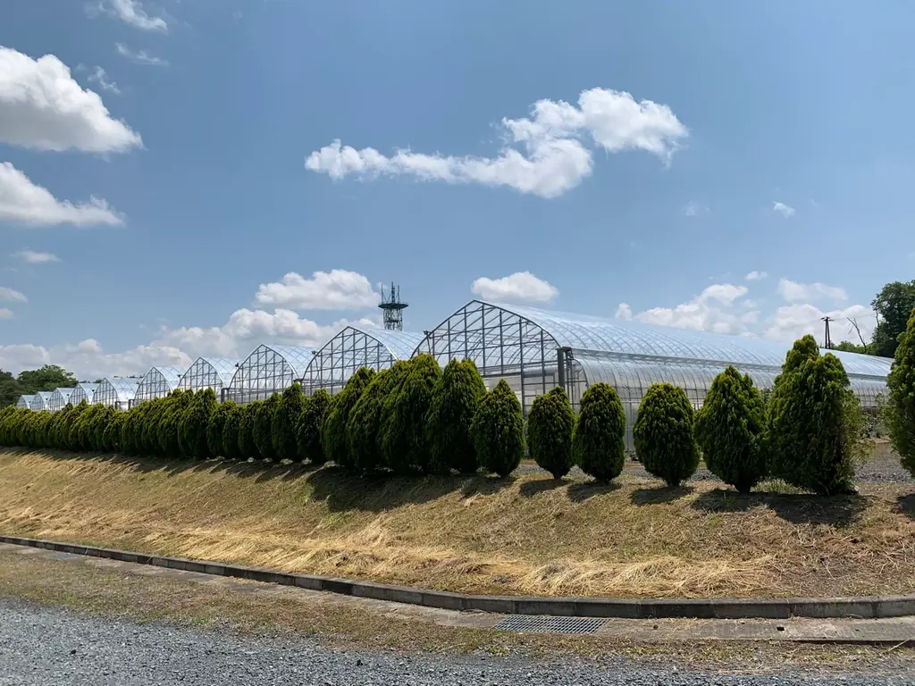 自社バラ園のバラから抽出した飲む美容液 新発売 画像 6