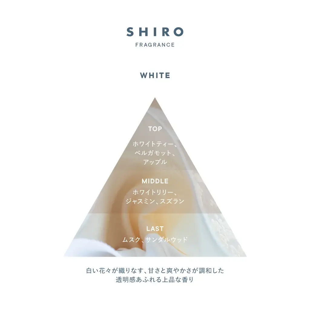 【SHIRO】LIMITED FRAGRANCE ホワイト 画像 5