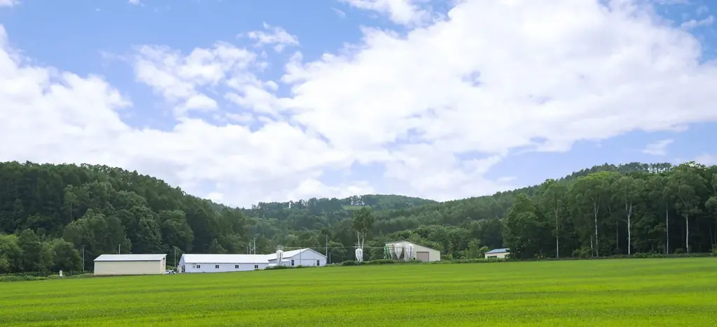 甘くてホクホクの北海道産かぼちゃを使った「北海道かぼちゃぷりん」が今年も期間限定で発売！ 画像 3