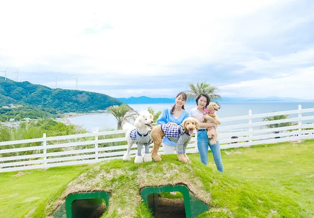 【新掲載】兵庫・南あわじ市の高台に佇む、全棟オーシャンビュー×オールインクルージブグランピング「カリコリゾート淡路島」で叶える、究極のリゾートステイ。 画像 12