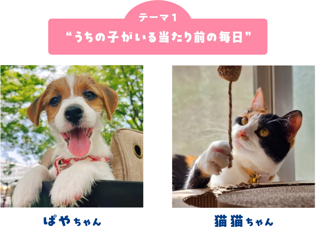 ペット写真6万件超！「うちの子フォトコンテスト2025」結果発表 画像 2