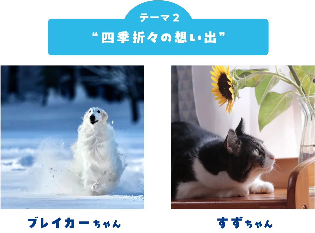 ペット写真6万件超！「うちの子フォトコンテスト2025」結果発表 画像 3