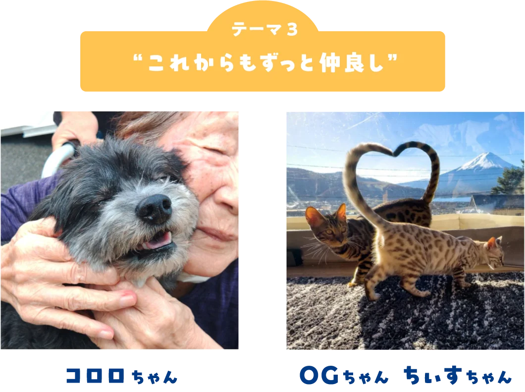 ペット写真6万件超！「うちの子フォトコンテスト2025」結果発表 画像 4