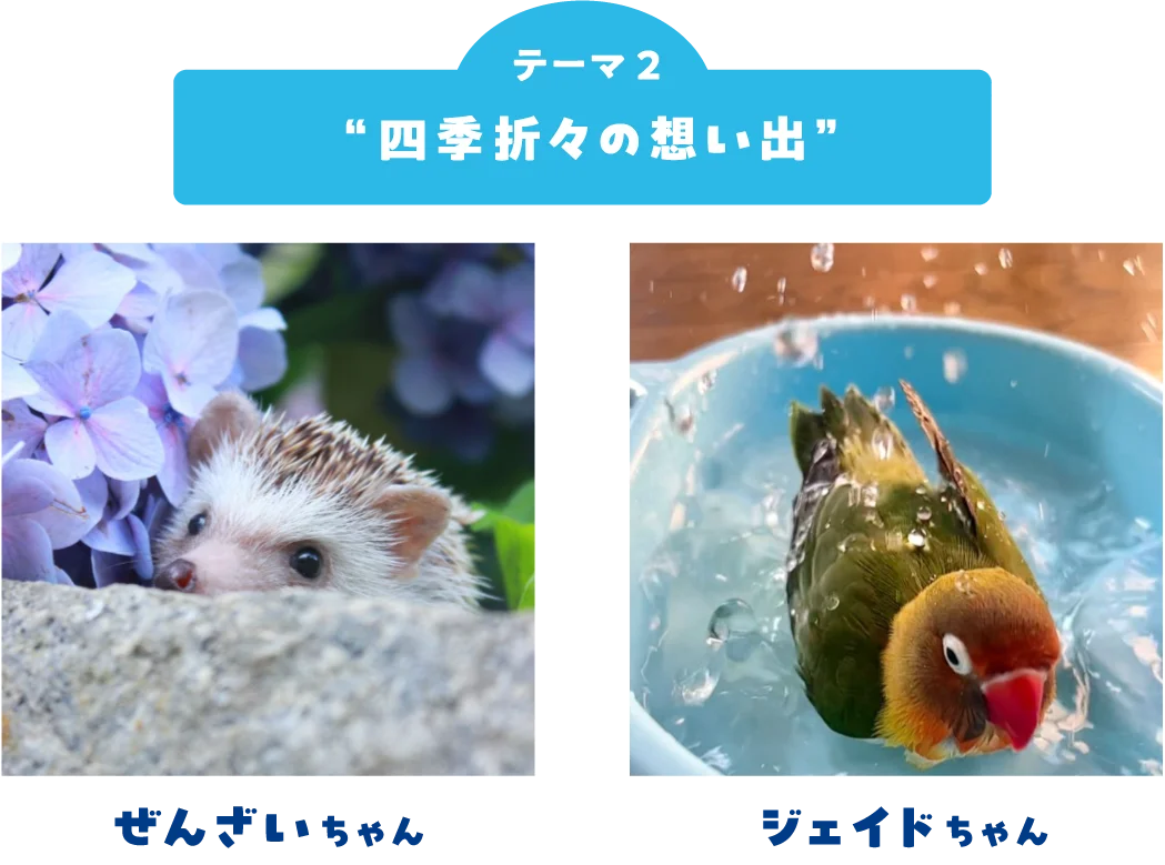 ペット写真6万件超！「うちの子フォトコンテスト2025」結果発表 画像 7