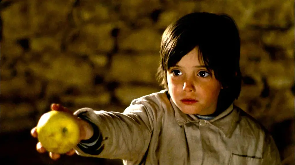 静謐な映像美で記憶と時間を描くスペイン映画の巨匠ザ・シネマメンバーズセレクション 【ビクトル・エリセ特集】 画像 4