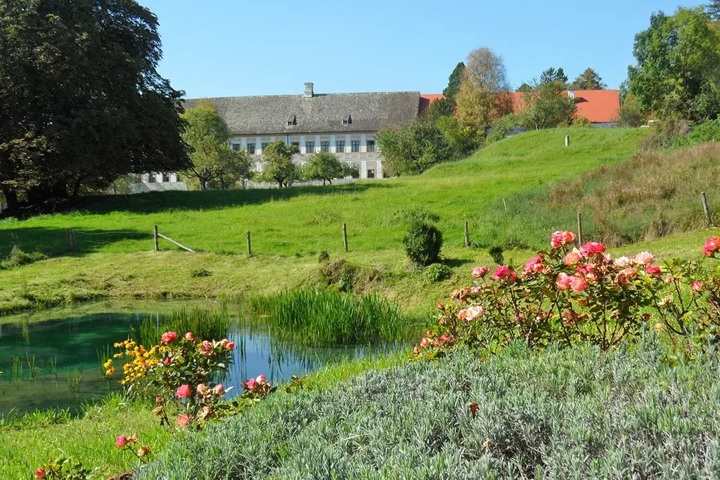 【公式オンラインショップ限定】マルティナ「スキンケア体感セット」人気アイテムを体験できる特別セットを数量限定で発売！2025年10月15日（水） 画像 7