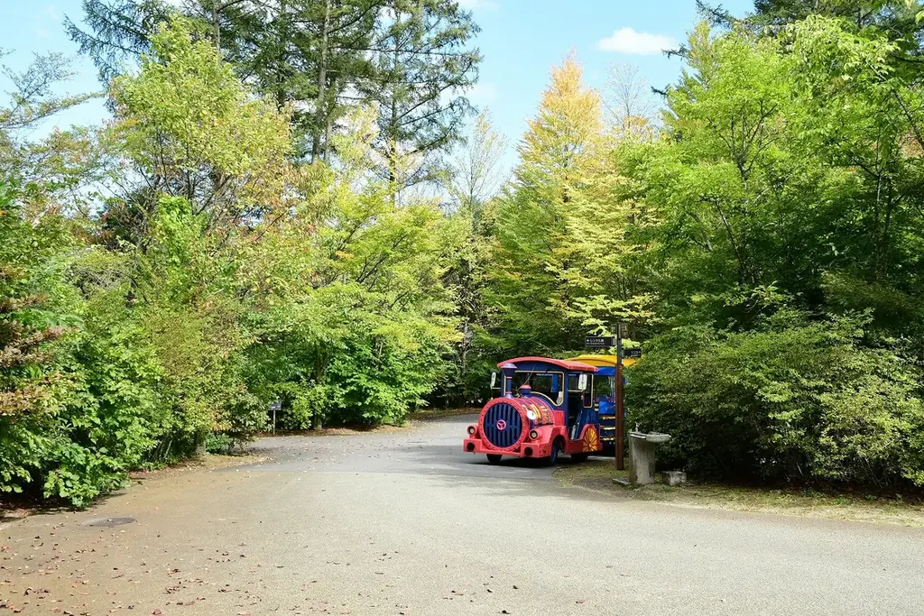 見て作って遊ぶ秋「紅葉フェスタ」開催｜国営アルプスあづみの公園【大町・松川地区】 画像 6