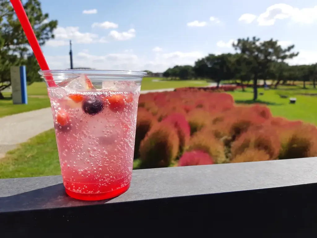 コキア紅葉見頃【国営海の中道海浜公園】 画像 2