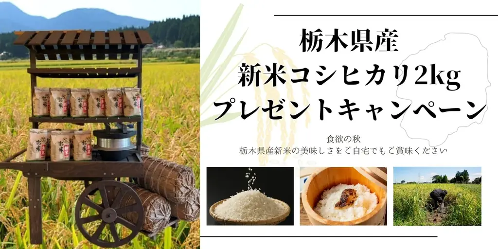 那須新米プレゼント