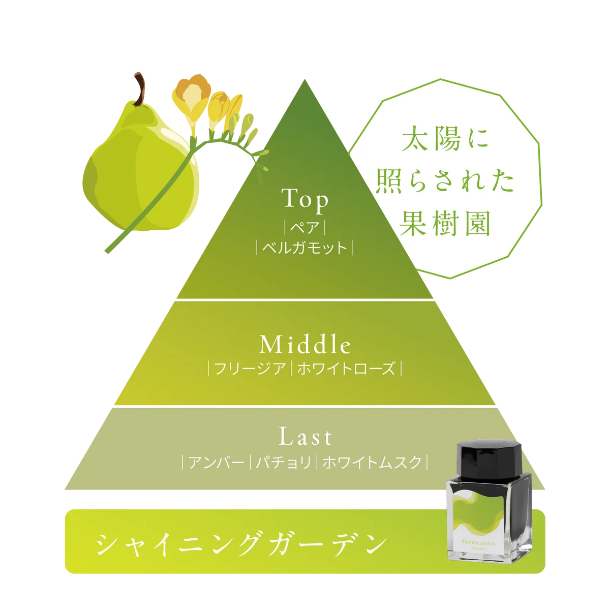 【セーラー万年筆×ラサーナ】広島発、異色のコラボレーション！『ラサーナ 海藻 シルキー ヘア スプレー 工場見学限定の香り 3種』11月14日（金）より、工場見学来場者へ期間限定で提供開始 画像 4