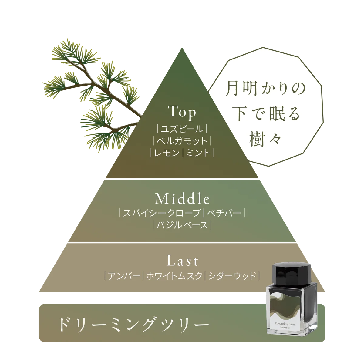 【セーラー万年筆×ラサーナ】広島発、異色のコラボレーション！『ラサーナ 海藻 シルキー ヘア スプレー 工場見学限定の香り 3種』11月14日（金）より、工場見学来場者へ期間限定で提供開始 画像 5