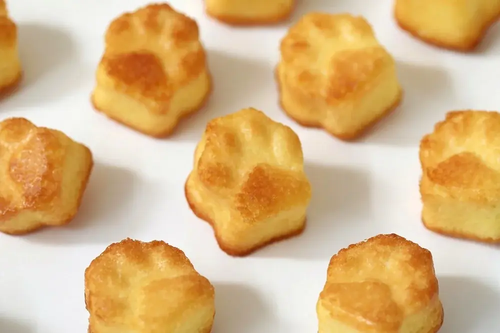 【冬限定！ねこスイーツ】口溶けにゃめらか～な食感とチョコの甘み広がる『にゃめらか テリーヌショコラ』をはじめ、サクサククッキーとまろやかなショコラ×オレンジを楽しめる新作バターサンドが期間限定で新発売 画像 12