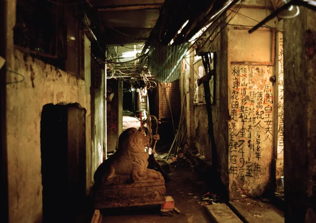 入手困難だった幻の写真集『最期の九龍城砦』が待望の復刊。かつて香港に存在した高層高密スラム街「九龍城砦」の最期の姿を撮影した貴重写真を、初公開カットも含め一挙収録。 画像 5