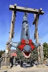 祝！映画「ジョーズ」日本公開50周年 パーク開業時から人気の『アミティ・ビレッジ』が祝祭感に包まれる『ジョーズ・セレブレーション』 画像 6