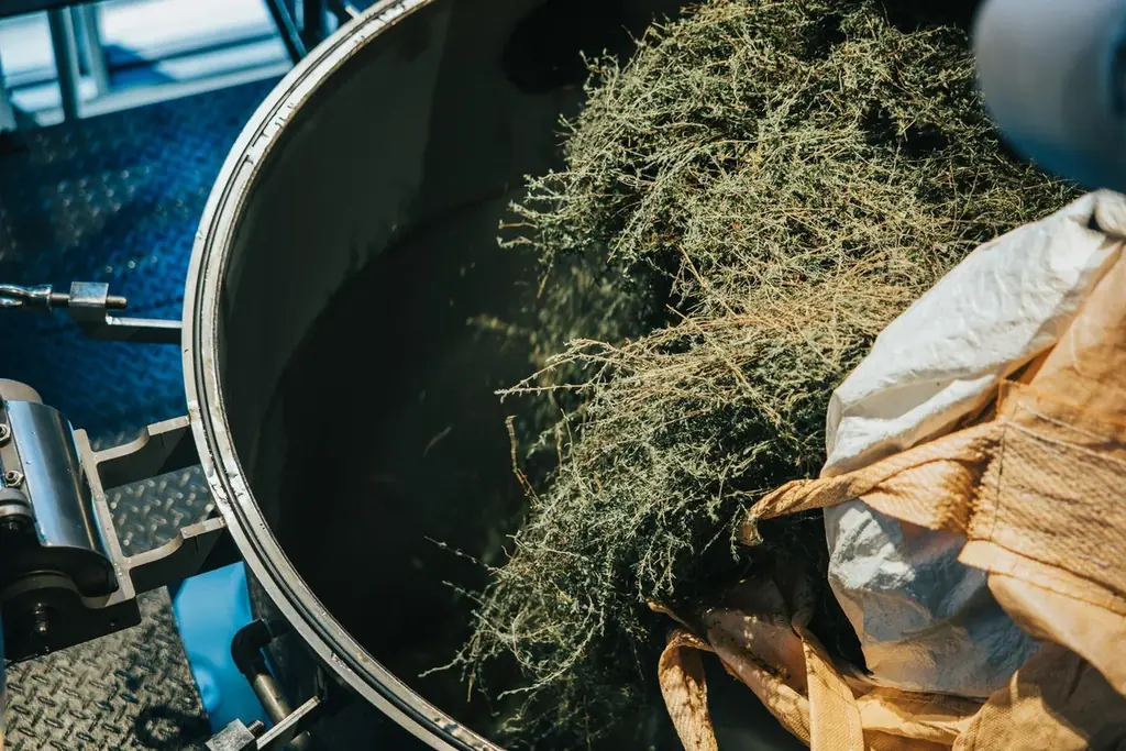 国産精油が生まれる蒸留所「THREE Aroma Distillery」2025年10月19日、佐賀県唐津市呼子町にオープン。 画像 9