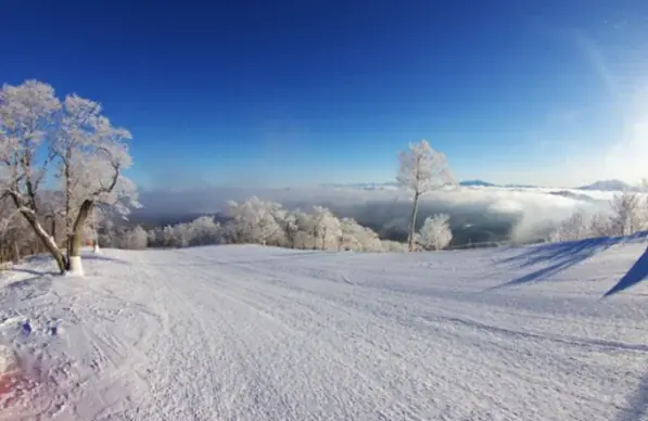 「ペットと一緒に滑走可能」な常設ワンちゃんゲレンデ＆展望デッキが誕生！ 画像 5