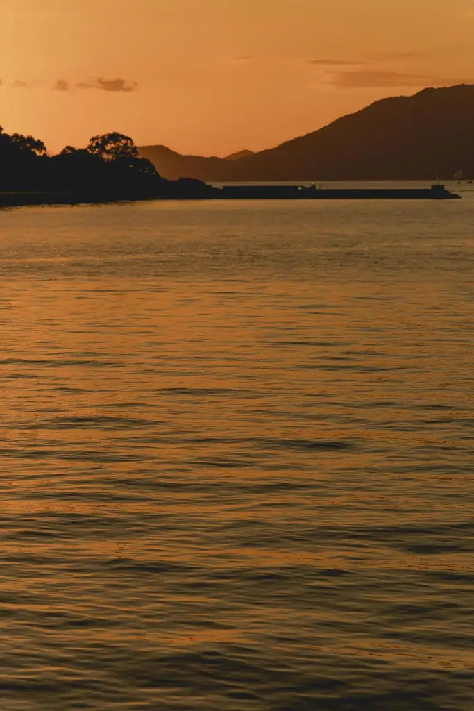 海辺の絶景ベーカリー「YUNAGI Cafe」2025年11月17日（月）グランドオープン 画像 4