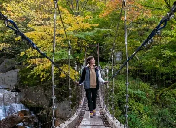 壮大な二条の滝と紅葉のコントラスト　米子大瀑布（日本の滝百選・国指定名勝「米子瀑布群」）、秋の絶景と紅葉を満喫！ 画像 3