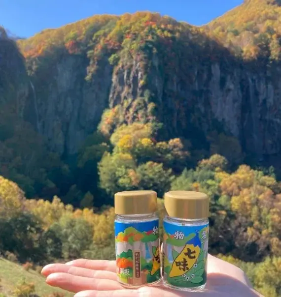 壮大な二条の滝と紅葉のコントラスト　米子大瀑布（日本の滝百選・国指定名勝「米子瀑布群」）、秋の絶景と紅葉を満喫！ 画像 7