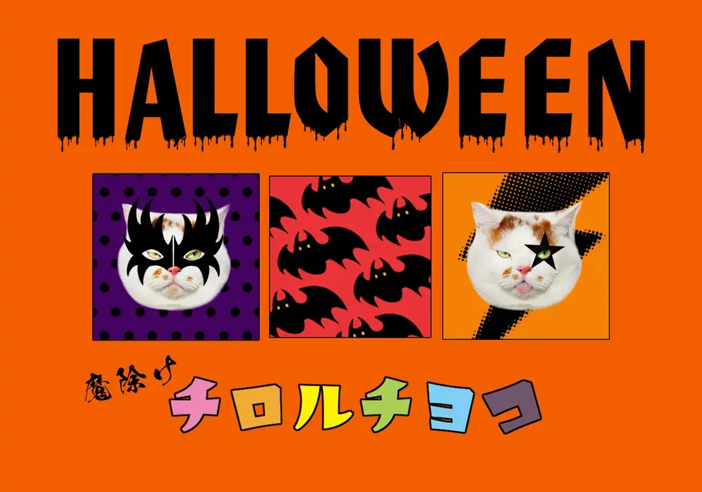 あの猫とお父さんの攻防がまさかのグッズ化　写真集『メイ先輩』特大パネルも登場 画像 10