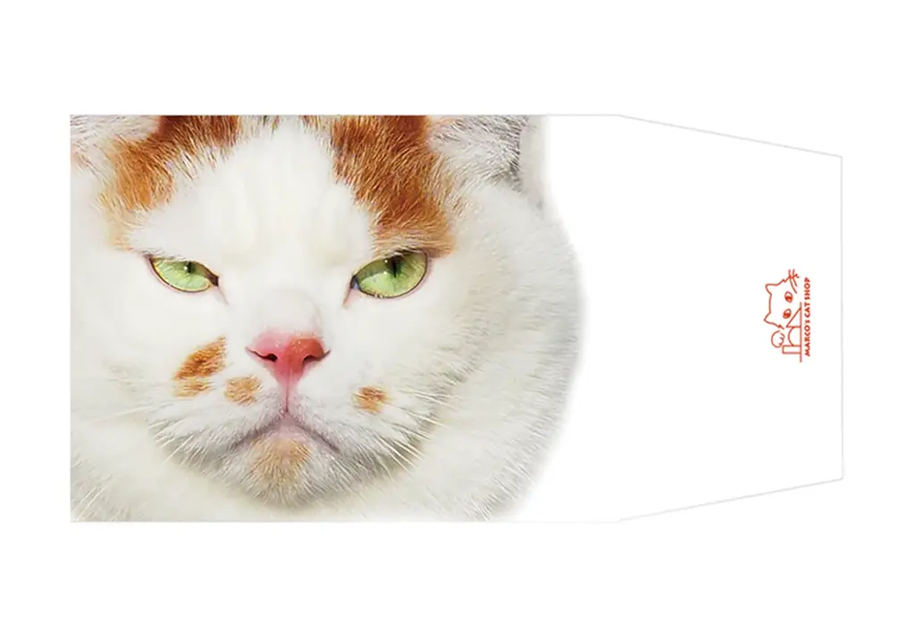 あの猫とお父さんの攻防がまさかのグッズ化　写真集『メイ先輩』特大パネルも登場 画像 14