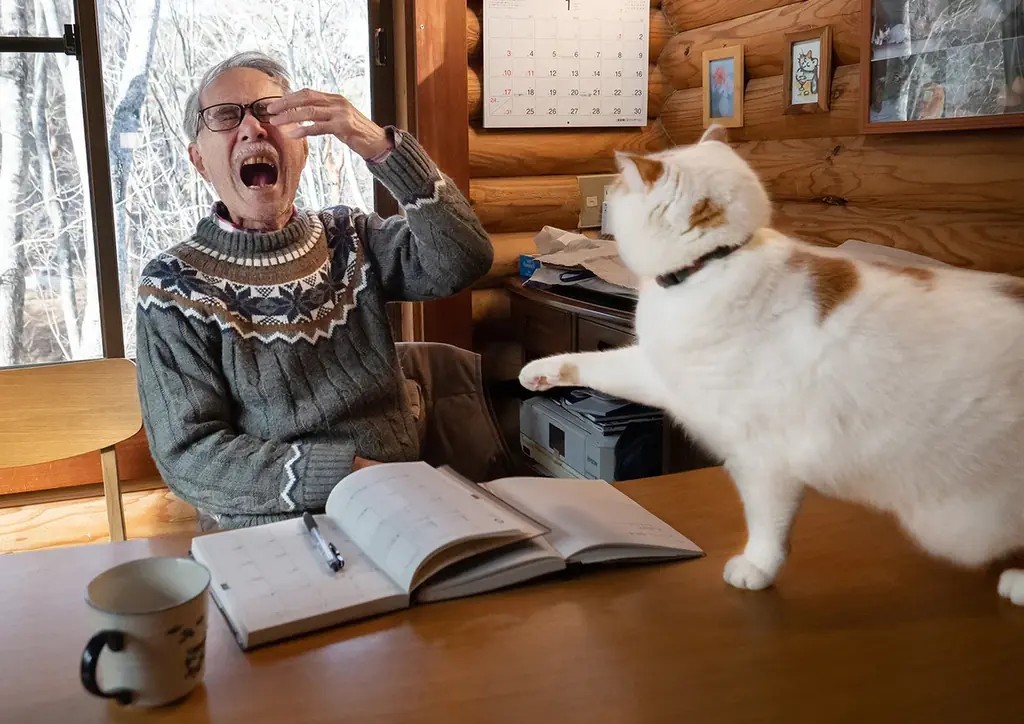 あの猫とお父さんの攻防がまさかのグッズ化　写真集『メイ先輩』特大パネルも登場 画像 2