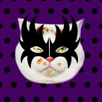 あの猫とお父さんの攻防がまさかのグッズ化　写真集『メイ先輩』特大パネルも登場 画像 8